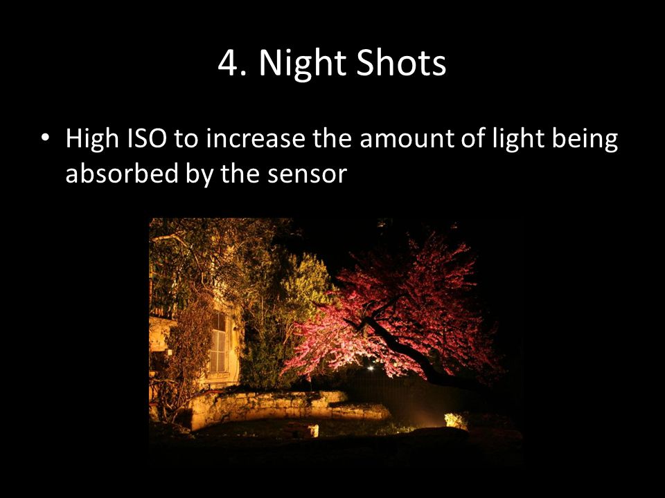 4. Night Shots High ISO to increase the amount of light being absorbed by the sensor