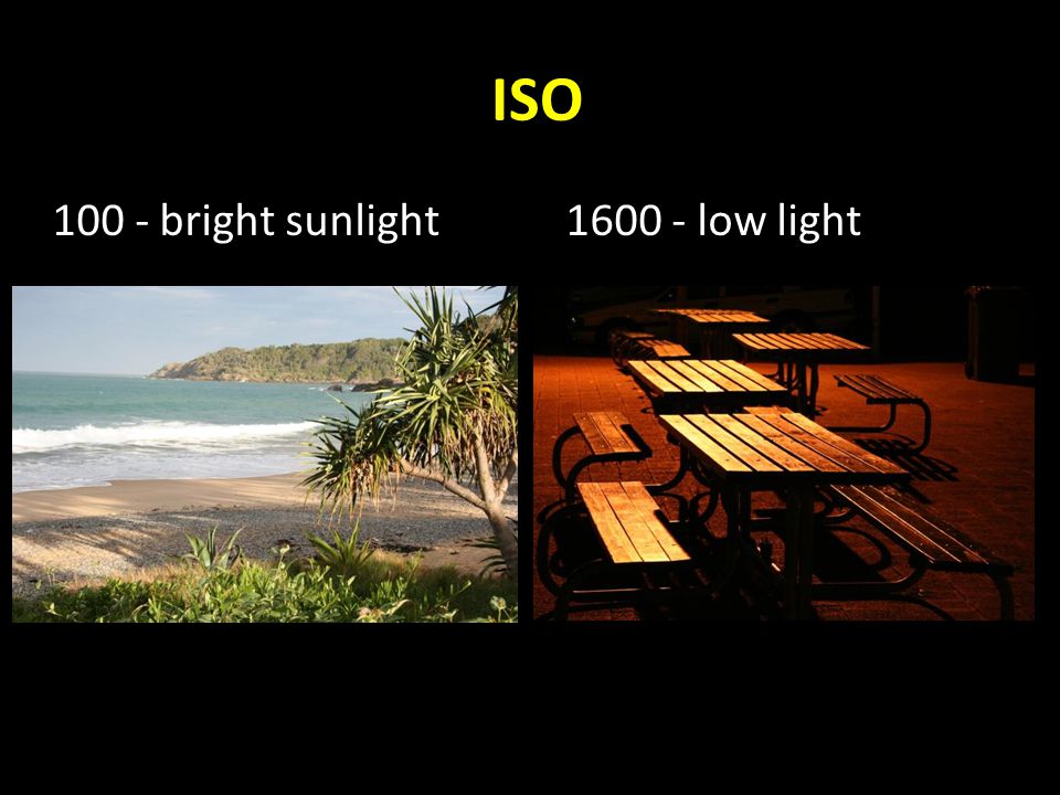 ISO bright sunlight low light