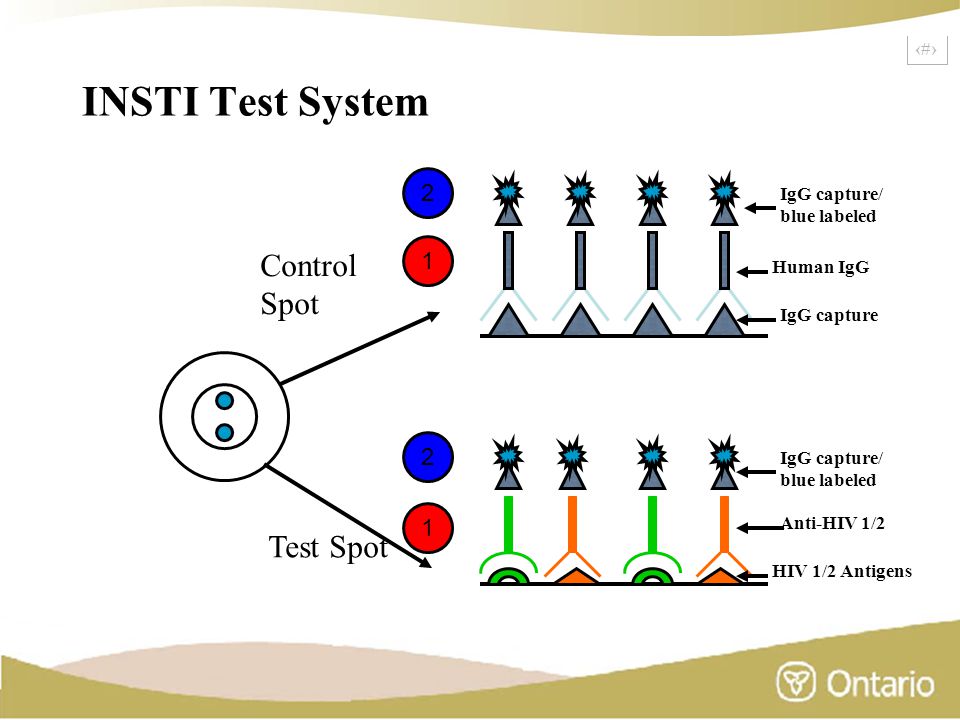 5 INSTI Test System Human IgG IgG capture/ blue labeled IgG capture Control Spot Test Spot IgG capture/ blue labeled Anti-HIV 1/2 HIV 1/2 Antigens