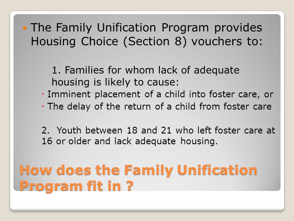 How does the Family Unification Program fit in .