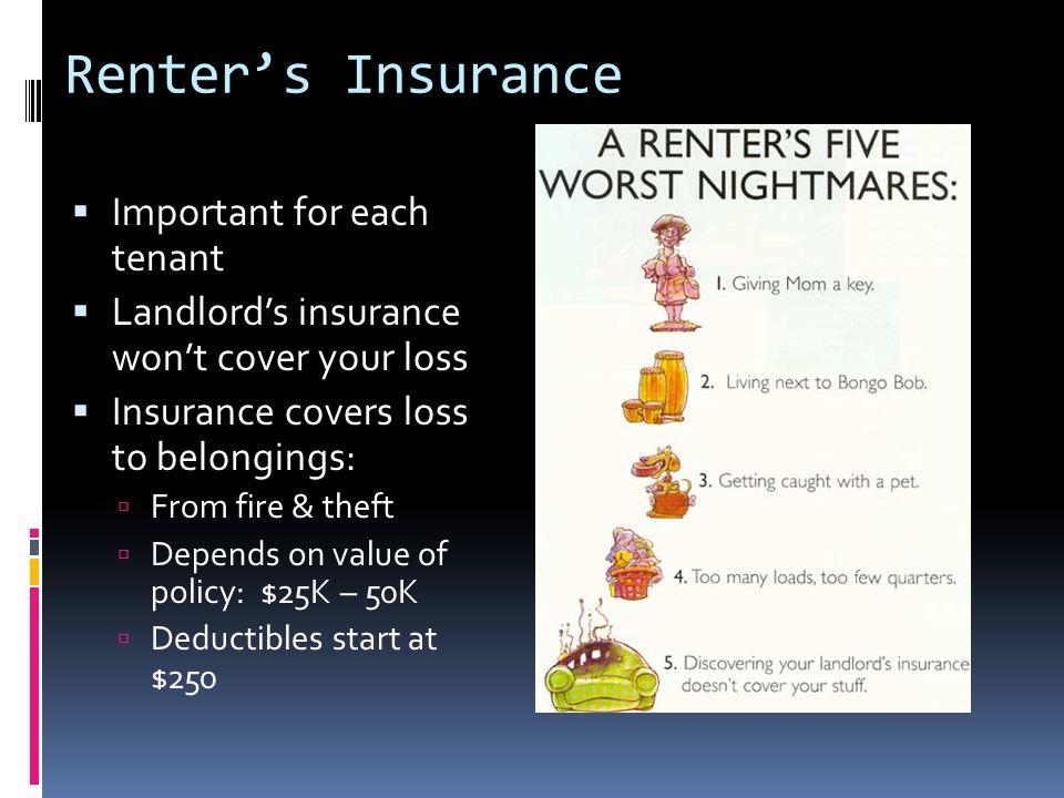 Renter’s Insurance  Important for each tenant  Landlord’s insurance won’t cover your loss  Insurance covers loss to belongings:  From fire & theft  Depends on value of policy: $25K – 50K  Deductibles start at $250