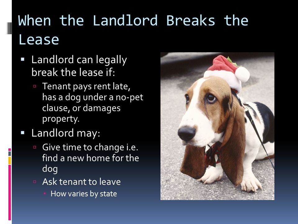 When the Landlord Breaks the Lease  Landlord can legally break the lease if:  Tenant pays rent late, has a dog under a no-pet clause, or damages property.