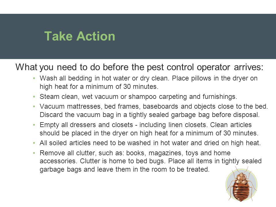 Take Action What you need to do before the pest control operator arrives: Wash all bedding in hot water or dry clean.