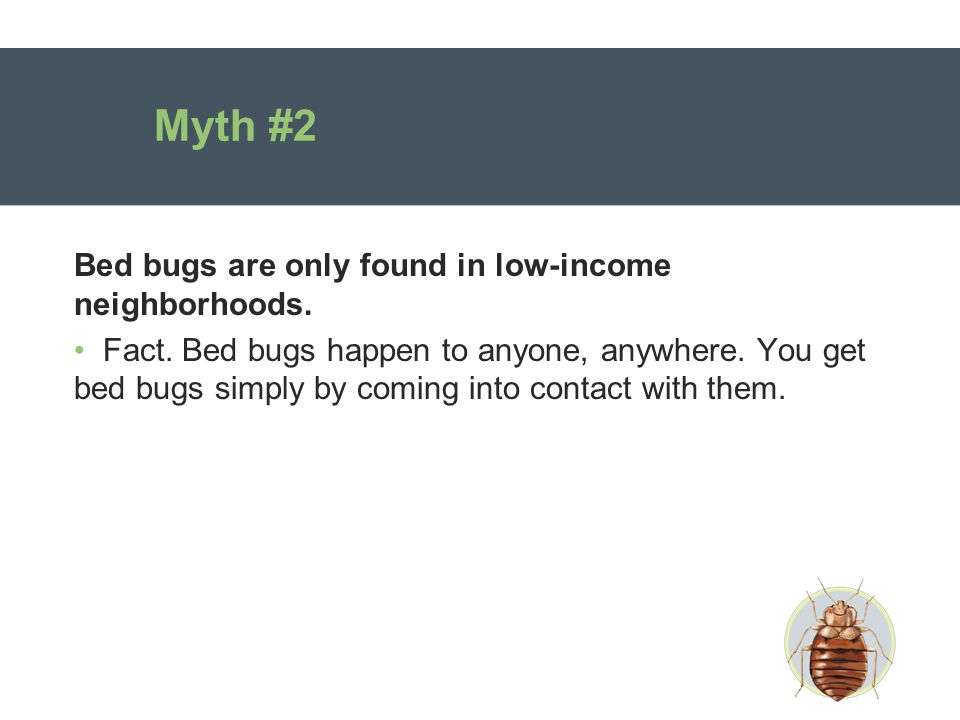 Myth #2 Bed bugs are only found in low-income neighborhoods.