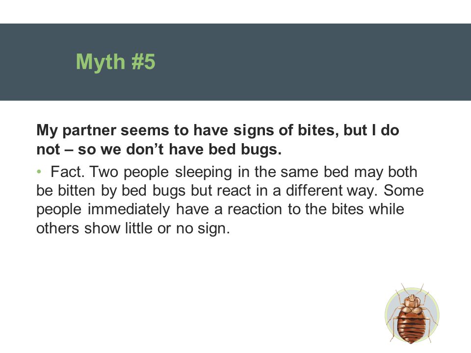 Myth #5 My partner seems to have signs of bites, but I do not – so we don’t have bed bugs.