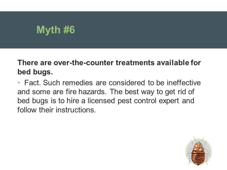 Myth #6 There are over-the-counter treatments available for bed bugs.