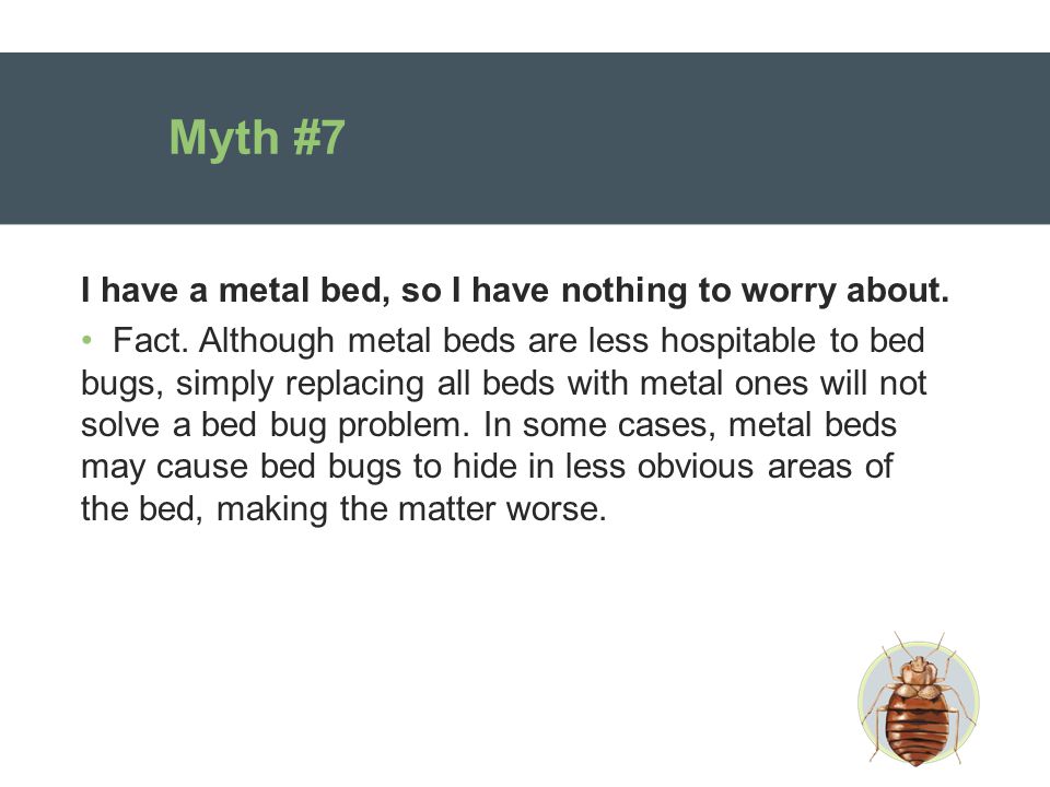 Myth #7 I have a metal bed, so I have nothing to worry about.
