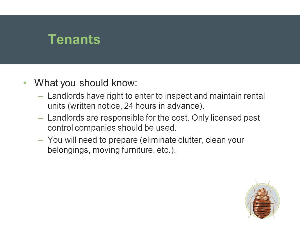 Tenants What you should know: –Landlords have right to enter to inspect and maintain rental units (written notice, 24 hours in advance).