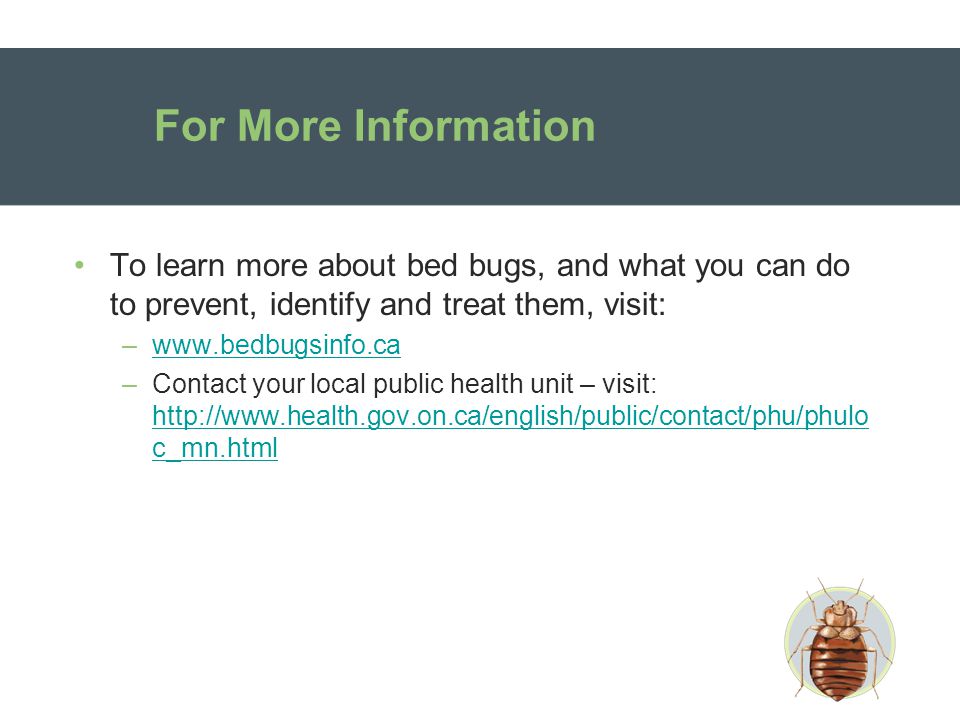 For More Information To learn more about bed bugs, and what you can do to prevent, identify and treat them, visit: –  –Contact your local public health unit – visit:   c_mn.html   c_mn.html