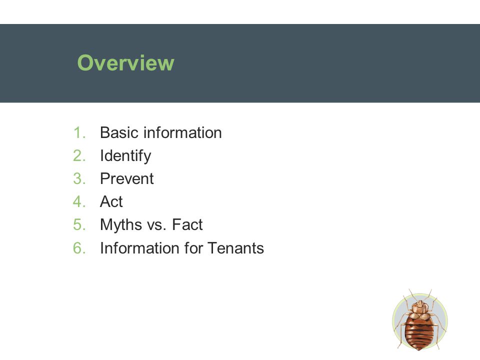 Overview 1.Basic information 2.Identify 3.Prevent 4.Act 5.Myths vs. Fact 6.Information for Tenants