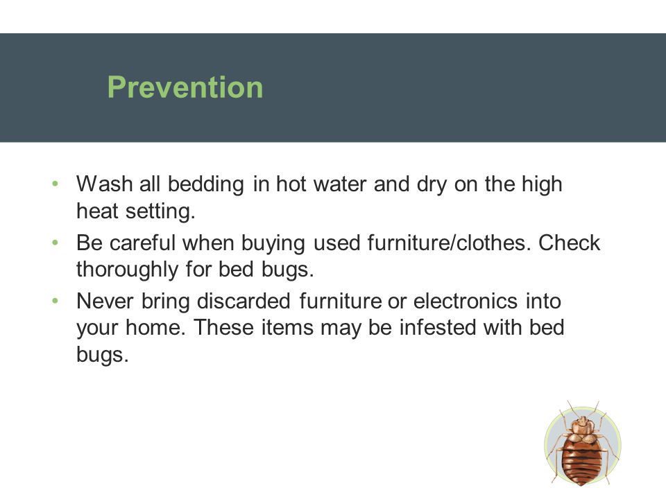 Prevention Wash all bedding in hot water and dry on the high heat setting.