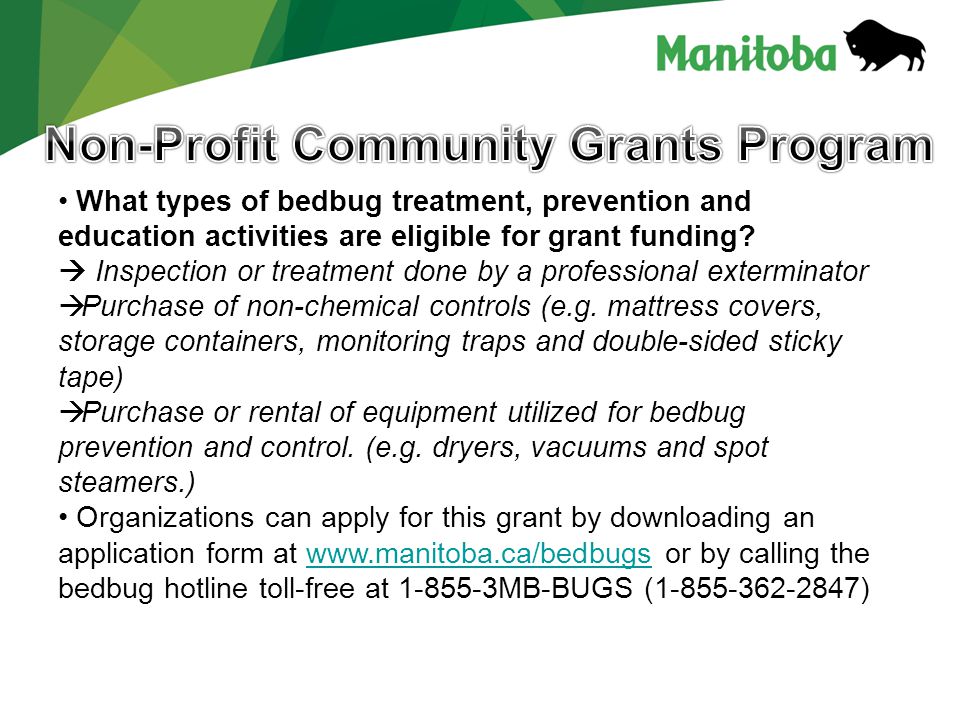 What types of bedbug treatment, prevention and education activities are eligible for grant funding.