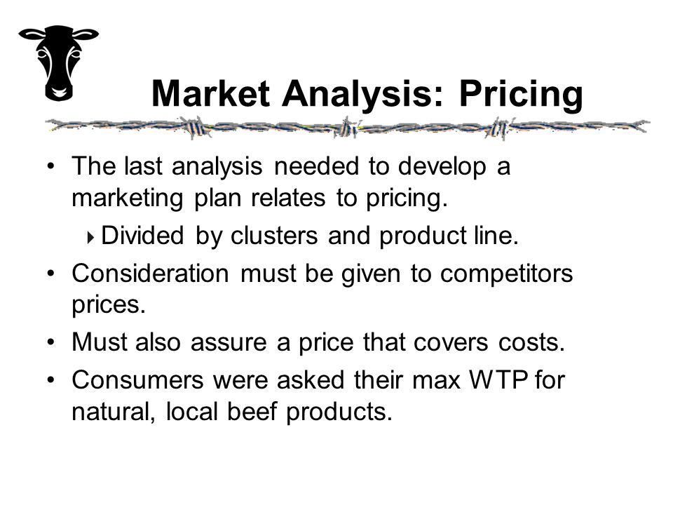 Market Analysis: Pricing The last analysis needed to develop a marketing plan relates to pricing.