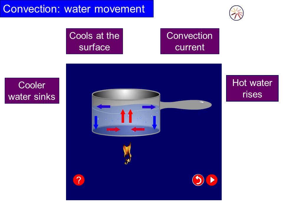 Convection: water movement Hot water rises Cooler water sinks Convection current Cools at the surface