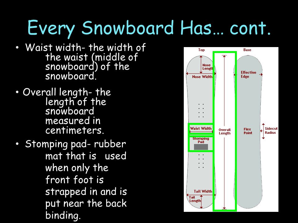 Your Friend the Snowboard. Every Snowboard Has… Effective edge Nose Tail  Bindings Toe edge Heel edge Base Top Waist width Tail width Nose width Tail  length. - ppt download
