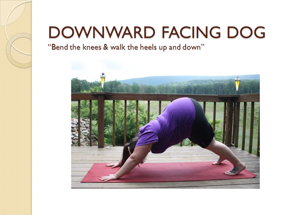 DOWNWARD FACING DOG Bend the knees & walk the heels up and down