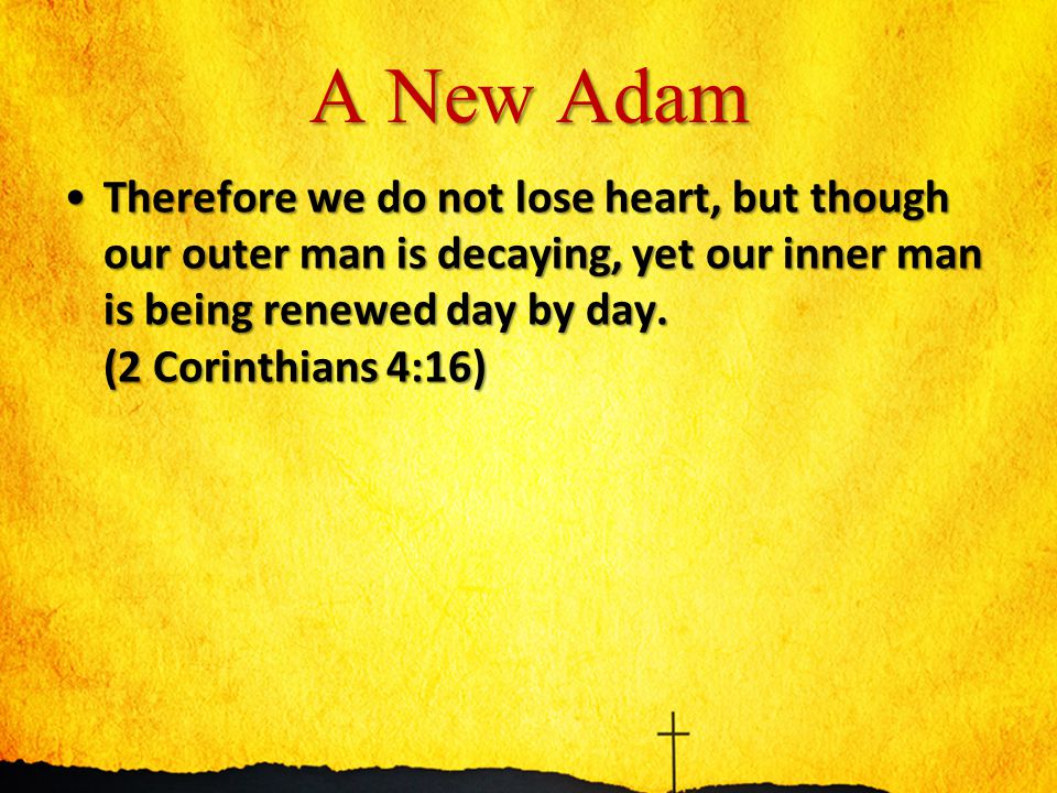 A New Adam Therefore we do not lose heart, but though our outer man is decaying, yet our inner man is being renewed day by day.