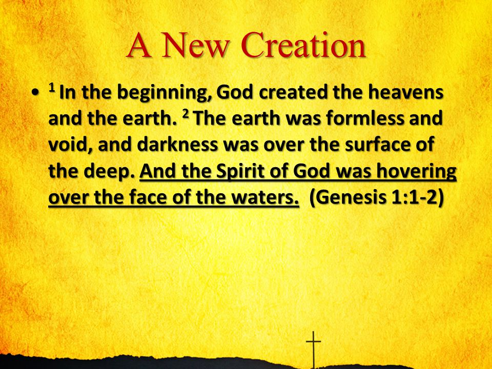 A New Creation 1 In the beginning, God created the heavens and the earth.