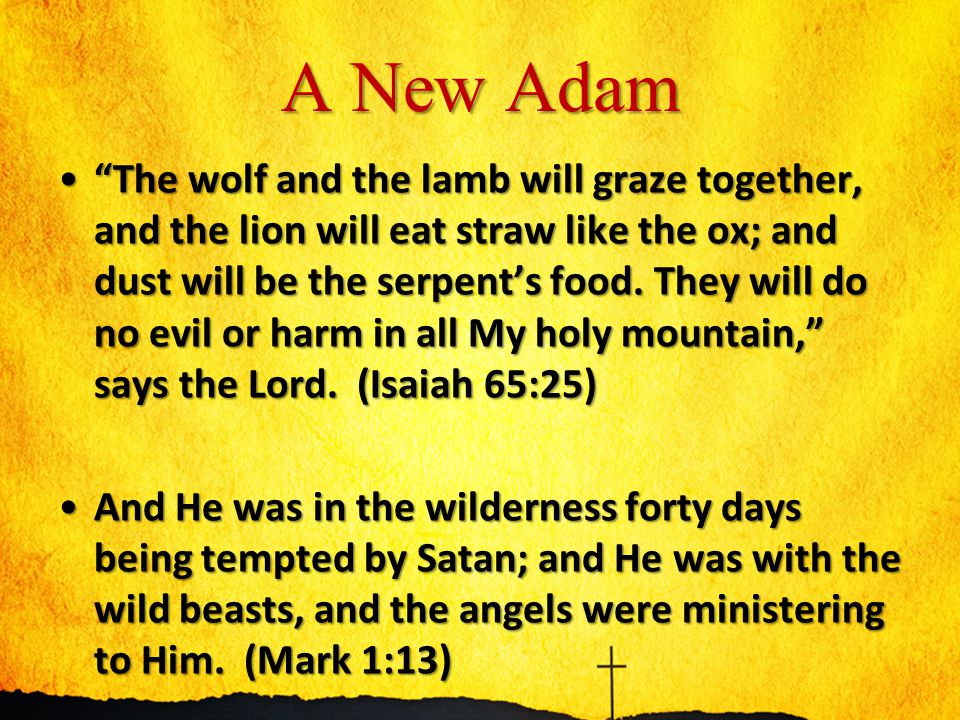 A New Adam The wolf and the lamb will graze together, and the lion will eat straw like the ox; and dust will be the serpent’s food.