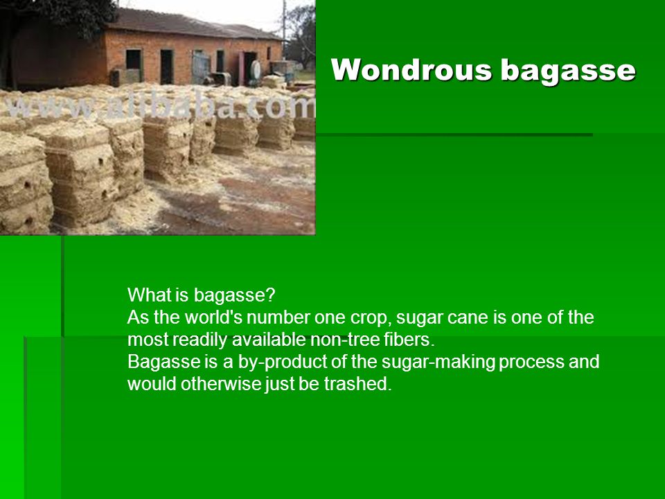 Wondrous bagasse What is bagasse.