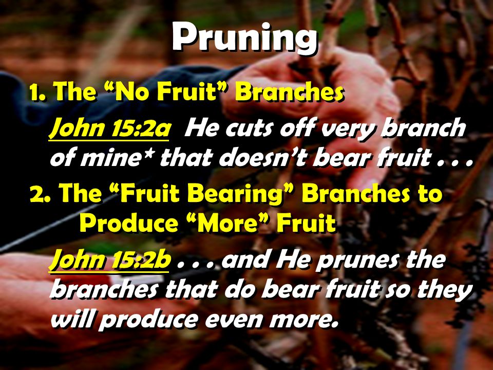 Pruning 1.