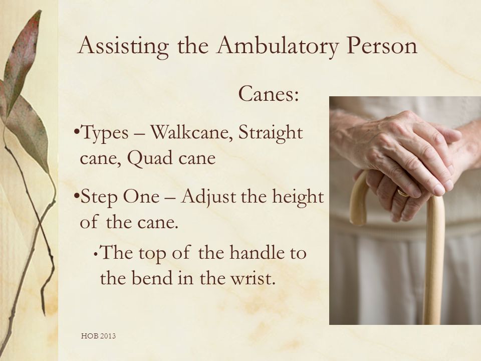 HOB 2013 Canes: Types – Walkcane, Straight cane, Quad cane Step One – Adjust the height of the cane.
