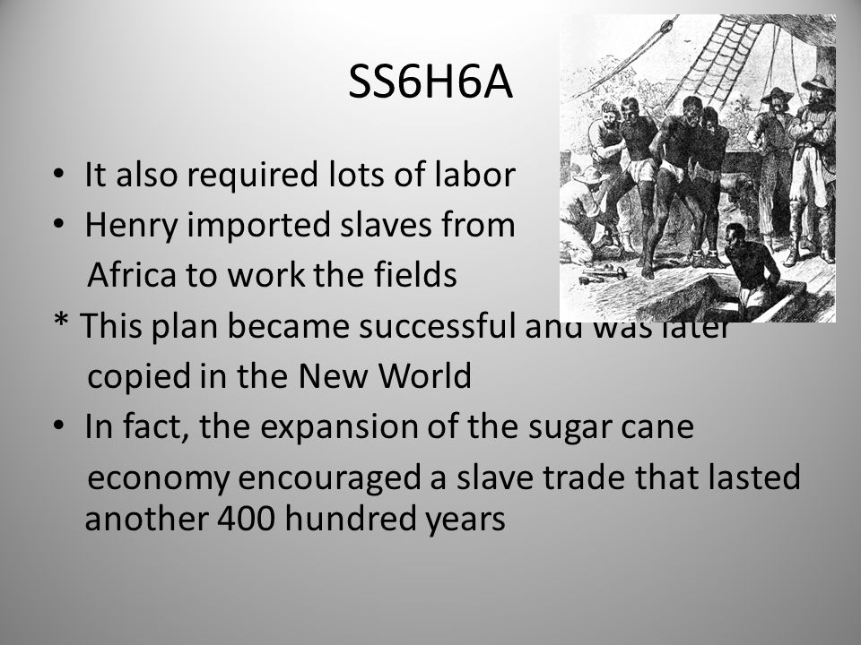 SS6H6A It also required lots of labor Henry imported slaves from Africa to work the fields * This plan became successful and was later copied in the New World In fact, the expansion of the sugar cane economy encouraged a slave trade that lasted another 400 hundred years 9