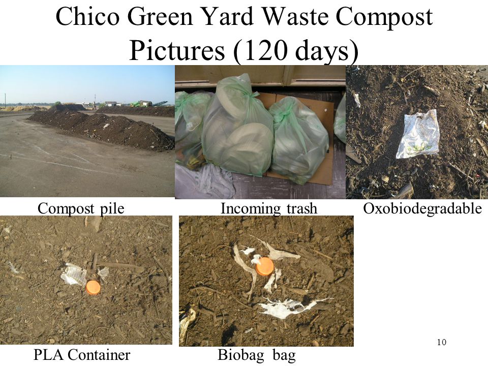 10 Chico Green Yard Waste Compost Pictures (120 days) OxobiodegradableCompost pile PLA ContainerBiobag bag Incoming trash