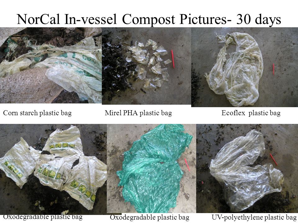 19 NorCal In-vessel Compost Pictures- 30 days Oxodegradable plastic bag UV-polyethylene plastic bag Mirel PHA plastic bagCorn starch plastic bagEcoflex plastic bag
