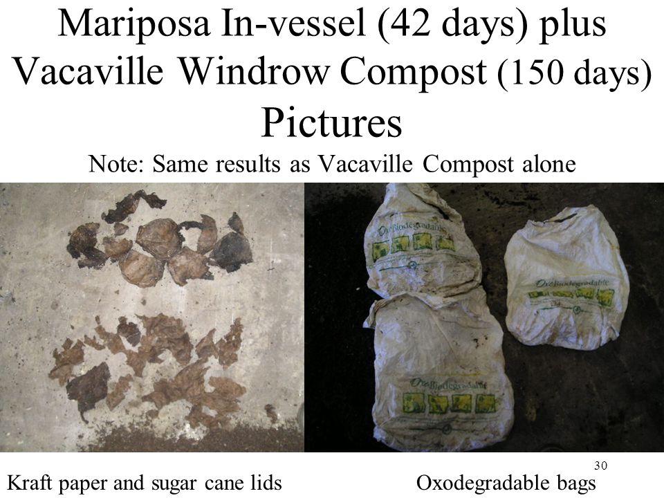 30 Mariposa In-vessel (42 days) plus Vacaville Windrow Compost (150 days) Pictures Note: Same results as Vacaville Compost alone Oxodegradable bagsKraft paper and sugar cane lids
