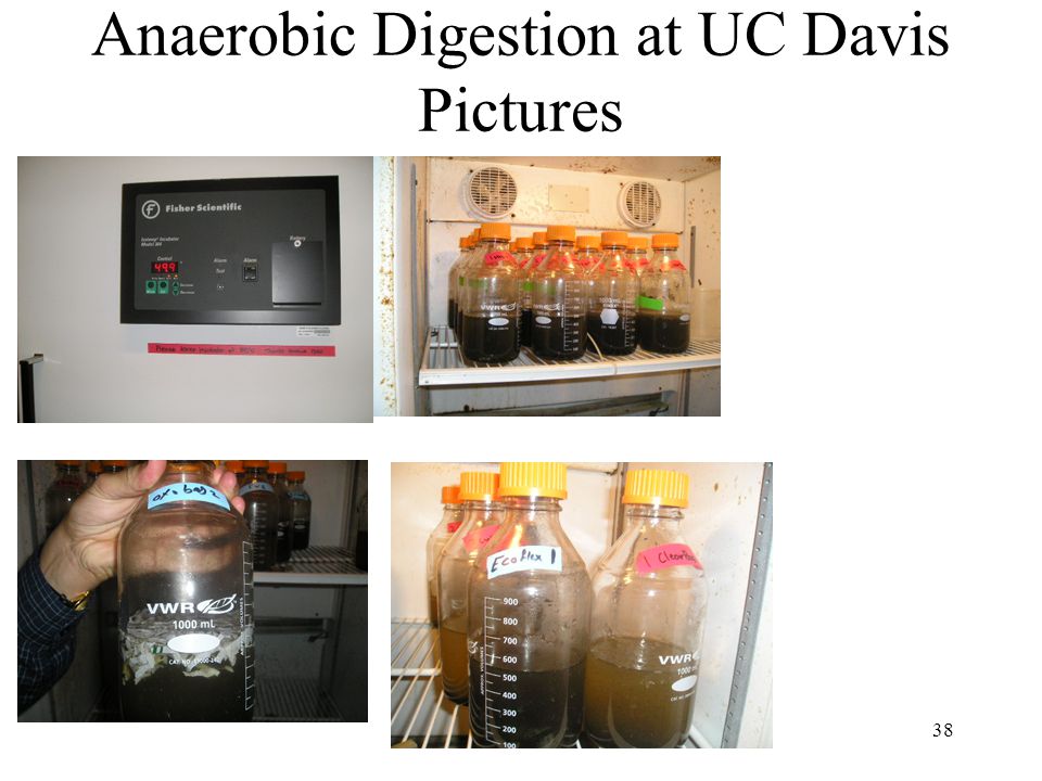 38 Anaerobic Digestion at UC Davis Pictures
