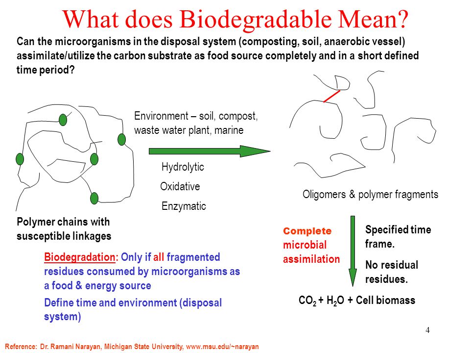 4 What does Biodegradable Mean.