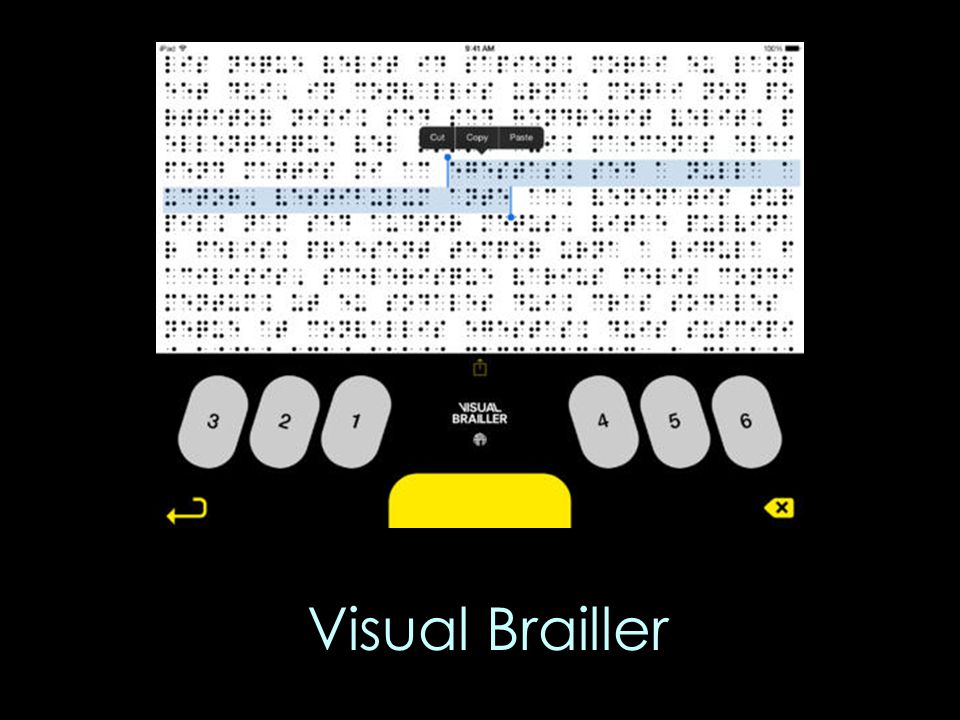 Visual Brailler