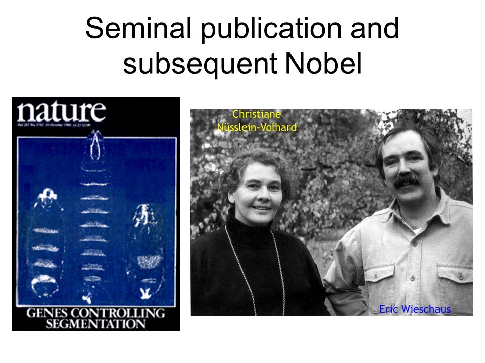 Seminal publication and subsequent Nobel