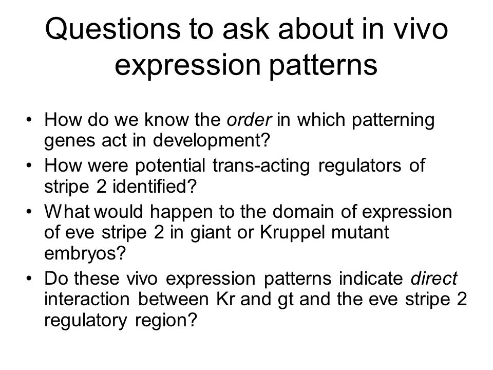 Questions to ask about in vivo expression patterns How do we know the order in which patterning genes act in development.