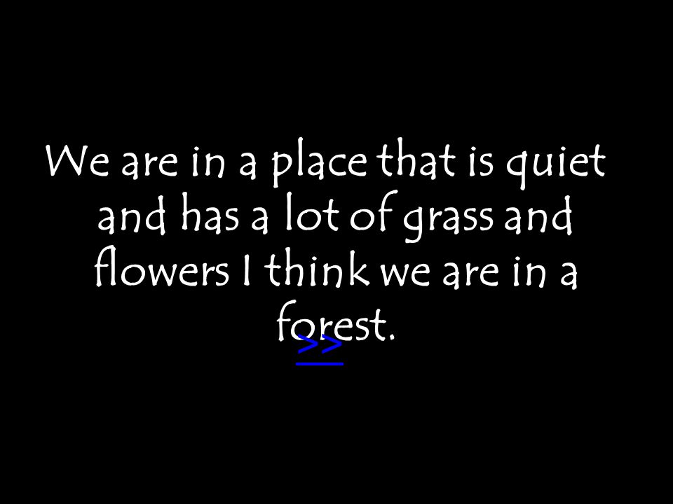 We are in a place that is quiet and has a lot of grass and flowers I think we are in a forest. >>