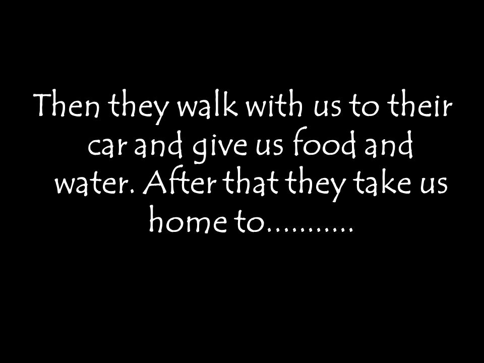 Then they walk with us to their car and give us food and water.