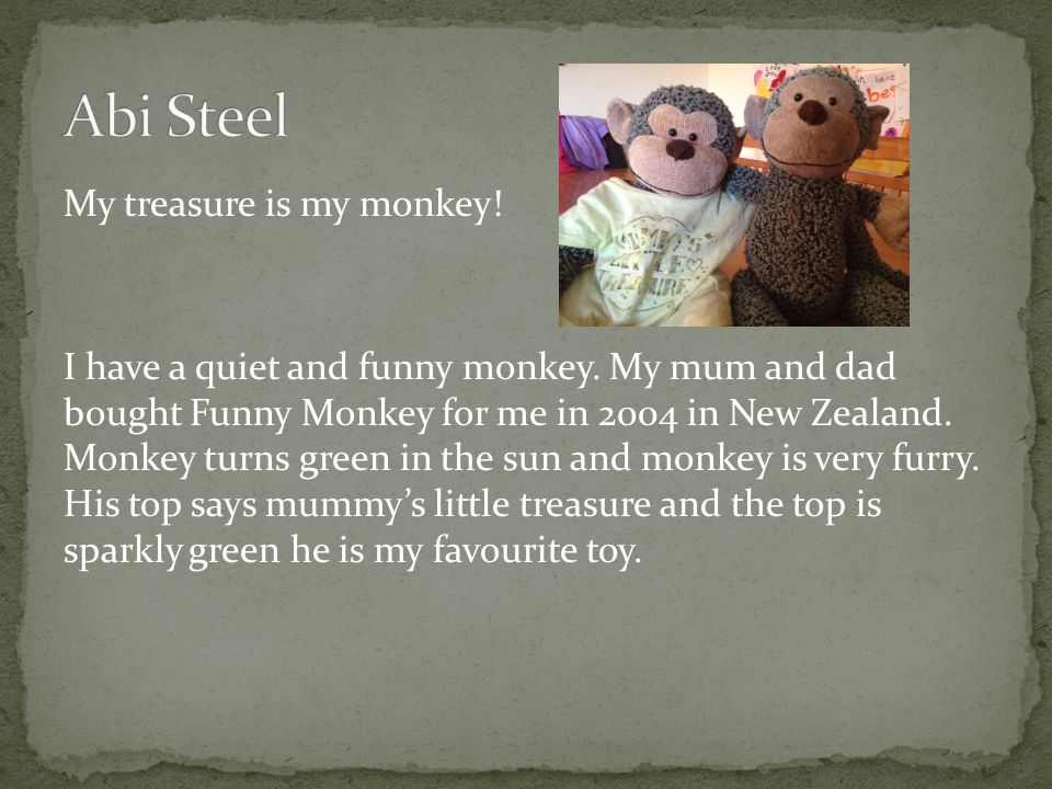 My treasure is my monkey. I have a quiet and funny monkey.