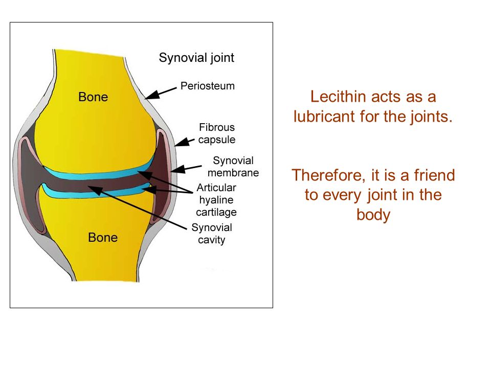 Lecithin acts as a lubricant for the joints. Therefore, it is a friend to every joint in the body