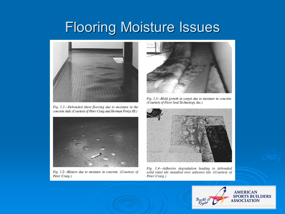 Flooring Moisture Issues