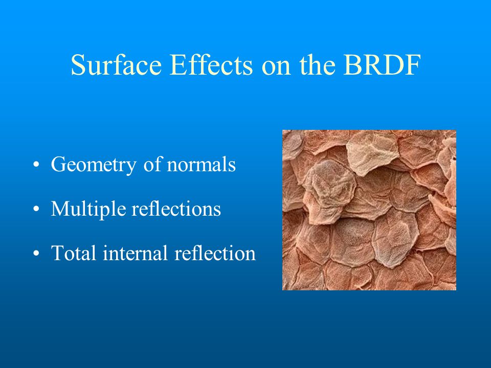 Surface Effects on the BRDF Geometry of normals Multiple reflections Total internal reflection
