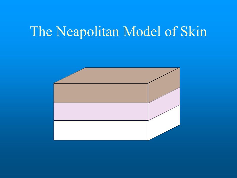 The Neapolitan Model of Skin
