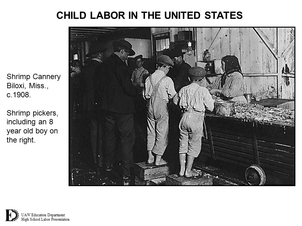 UAW Education Department High School Labor Presentation CHILD LABOR IN THE UNITED STATES Shrimp Cannery Biloxi, Miss., c.1908.
