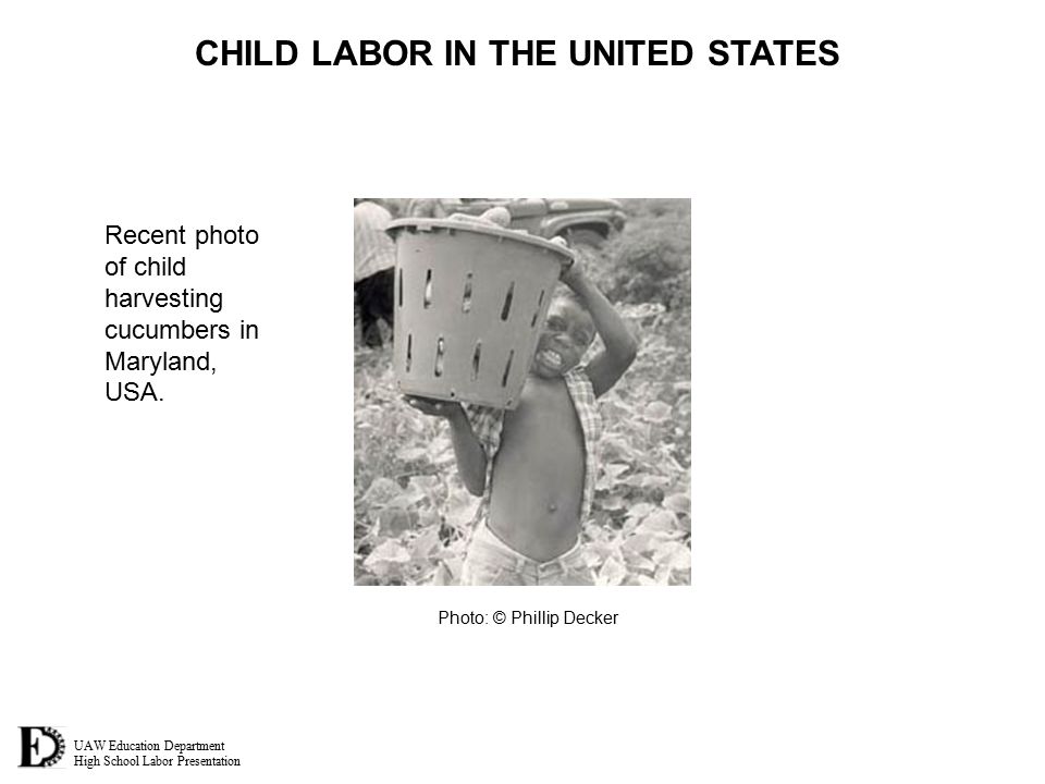UAW Education Department High School Labor Presentation CHILD LABOR IN THE UNITED STATES Recent photo of child harvesting cucumbers in Maryland, USA.