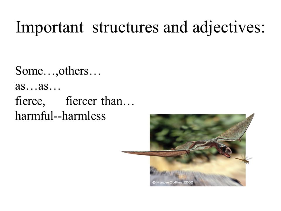 Important structures and adjectives: Some…,others… as…as… fierce, fiercer than… harmful--harmless