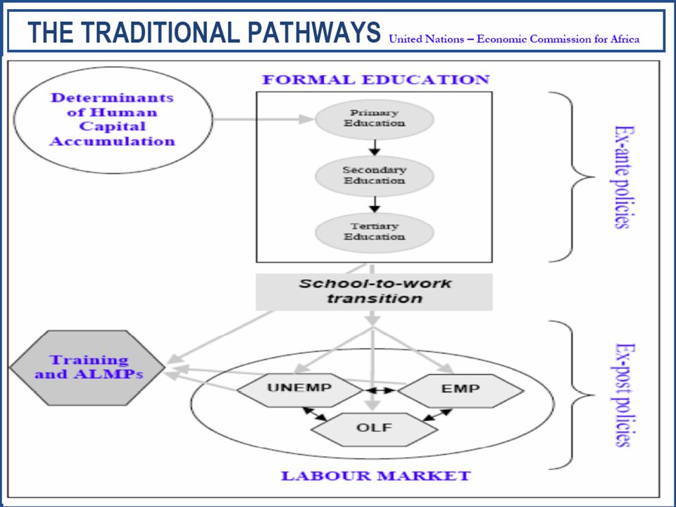 HUMAN CAPITAL AND LABOUR MARKET (United Nation)