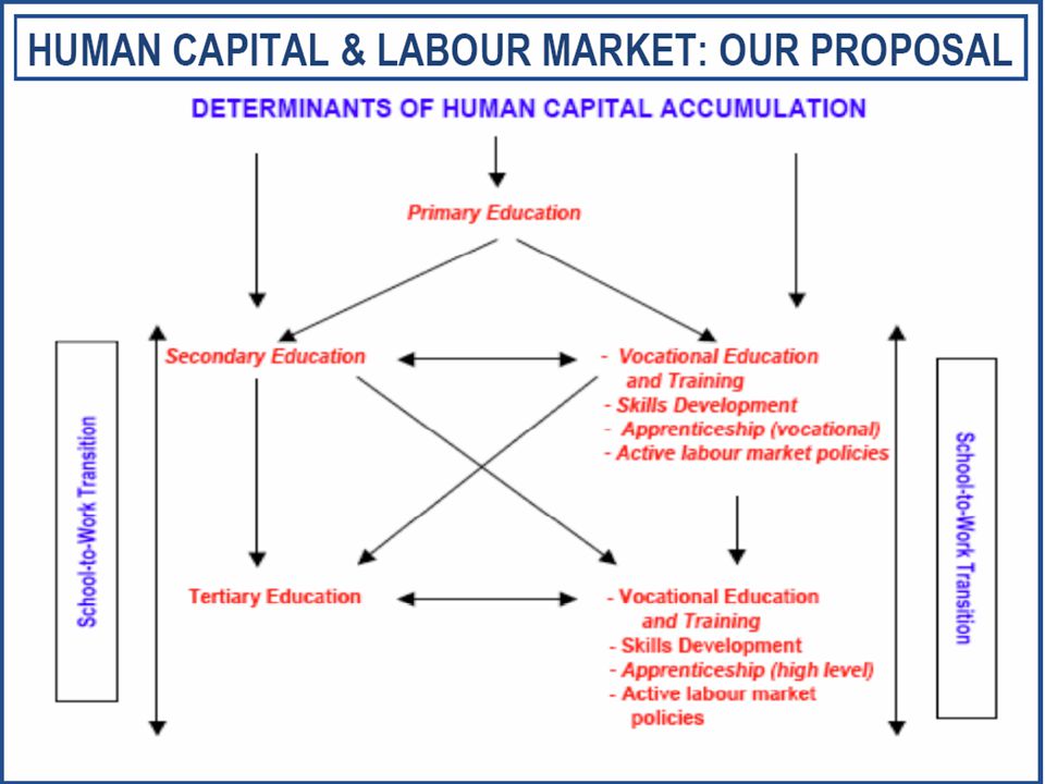HUMAN CAPITAL AND LABOUR MARKET (our proposal)