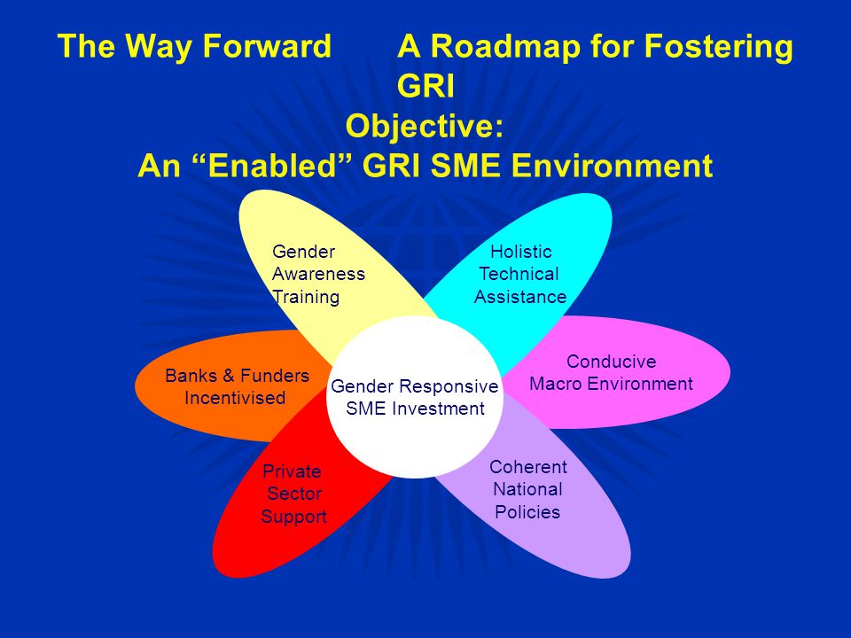 The Way ForwardA Roadmap for Fostering GRI Objective: An Enabled GRI SME Environment Gender Responsive SME Investment Holistic Technical Assistance Gender Awareness Training Conducive Macro Environment Banks & Funders Incentivised Coherent National Policies Private Sector Support