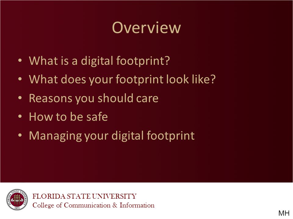 FLORIDA STATE UNIVERSITY College of Communication & Information Overview What is a digital footprint.