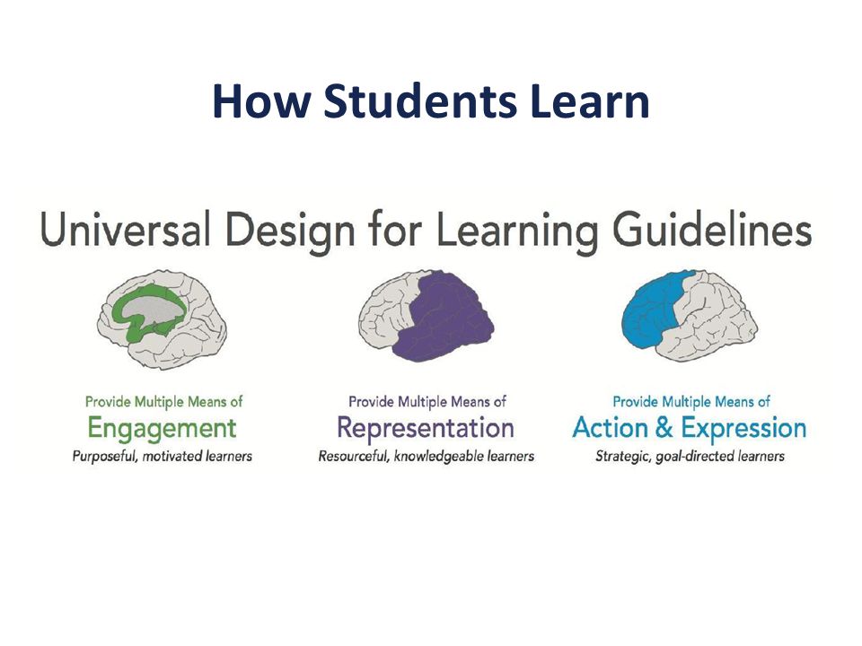 How Students Learn